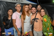 DSC_4237