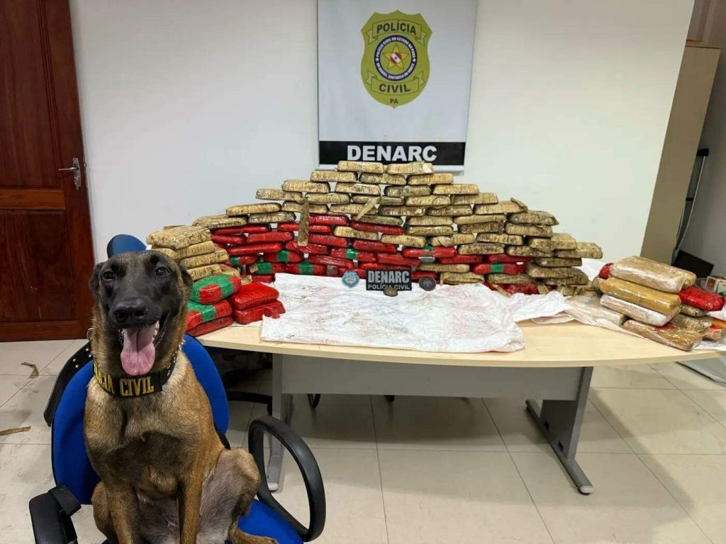 Polícia Civil apreende 180 kg de drogas às margens do rio Tocantins, em Cametá