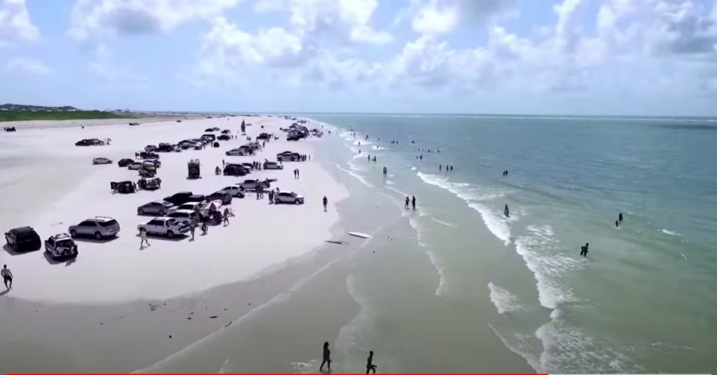 Praia do Atalaia recebe ações até fim de julho para proteger tartarugas-marinhas no Pará