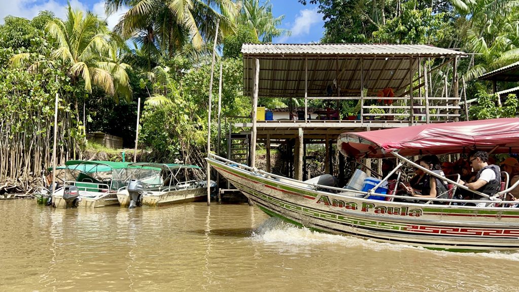 Do isolamento à devastação: como o turismo predatório tem transformado ilha preservada na cidade da COP 30